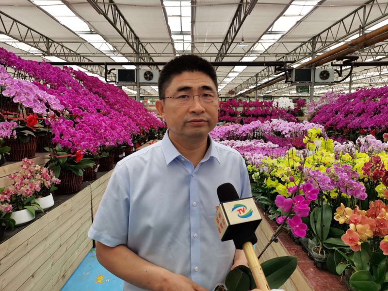 蝴蝶兰协会会员：携手共创美好未来