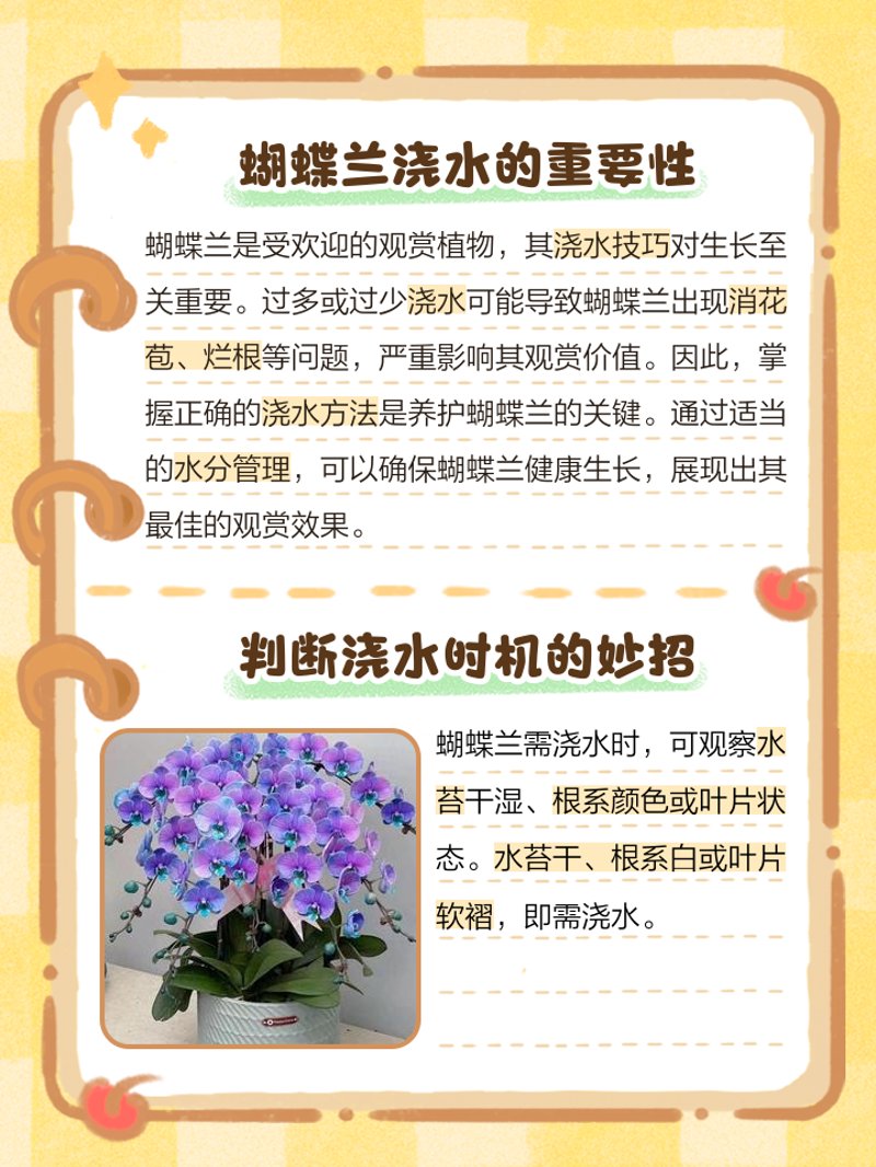 蝴蝶兰：陈村的优雅之花